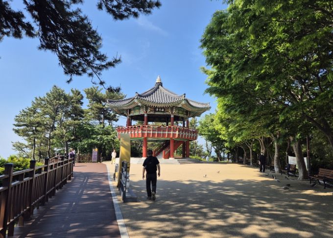 해운대구는 달맞이길을 밤에도 찾고 싶은 명소로 만드는 야간 환경 개선사업에 착수한다.