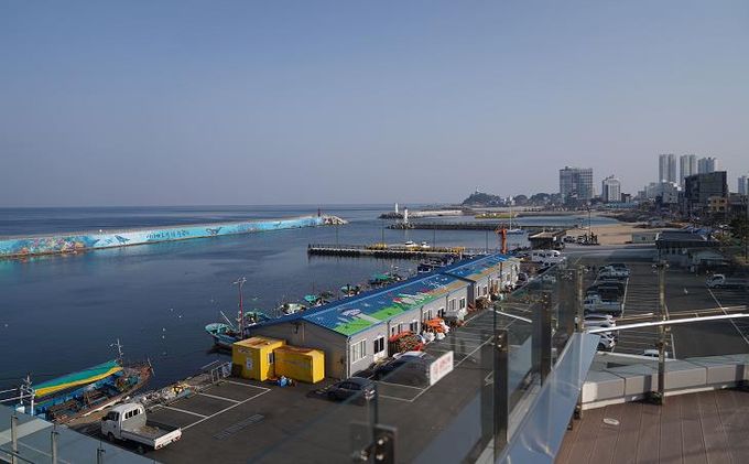  소규모 어가, 어선원 직불제 관련(관내 항구 사진)