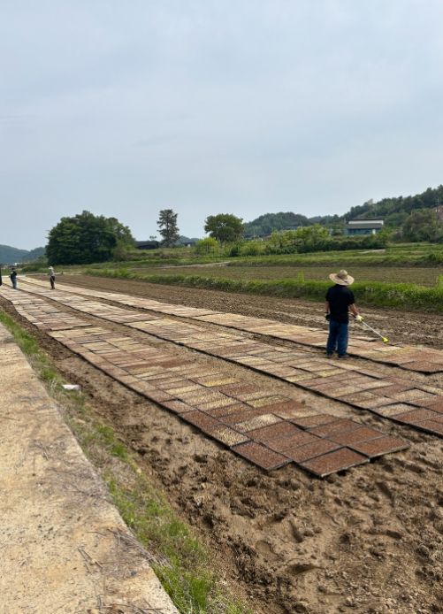 사천시, 봄철 농촌일손돕기 본격 추진