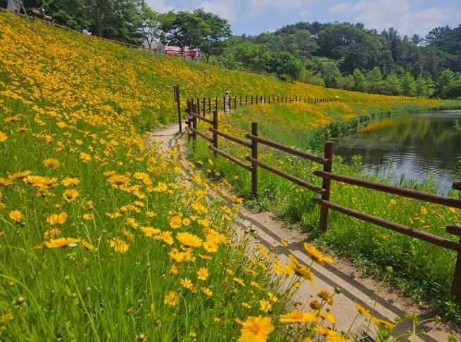 5월에는 함안 악양생태공원으로 나들이 가요 !