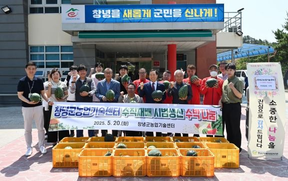 창녕군농업기술센터 수직재배 시범생산 수박 나눔