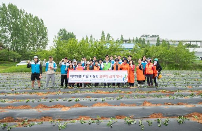 인천 서구, 취약계층 지원 고구마 심기 행사