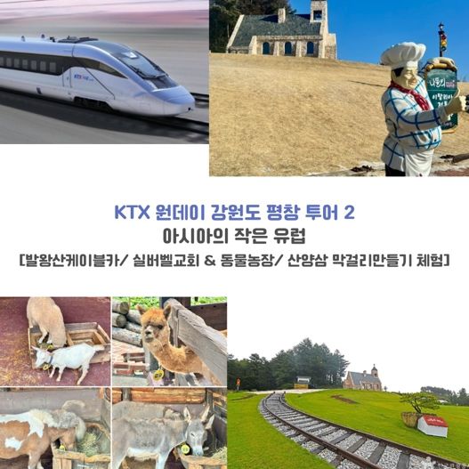 평창군, 2025년 철도 관광상품 운영