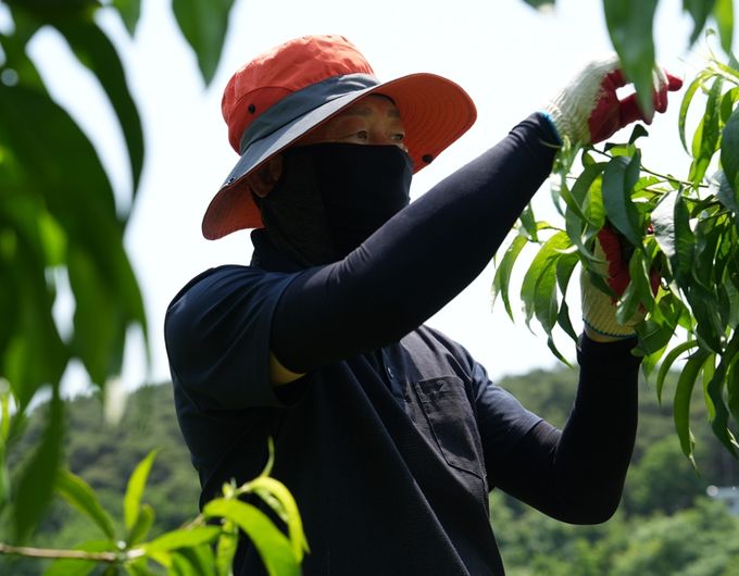 경산소방서, 봄철 농촌일손돕기 봉사활동 펼쳐