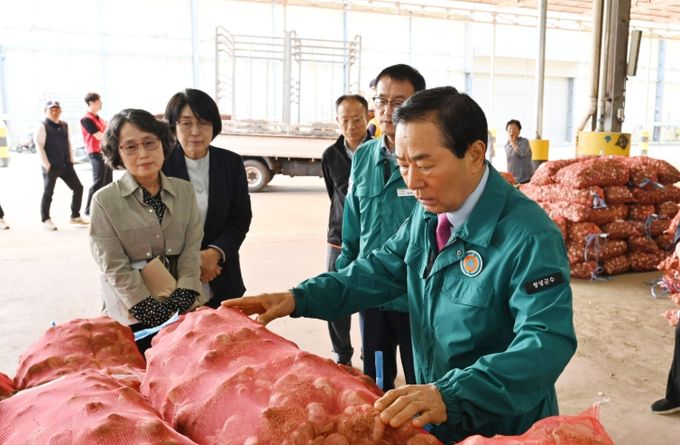 성낙인 창녕군수, 풋대마늘 경매 첫날 현장 방문