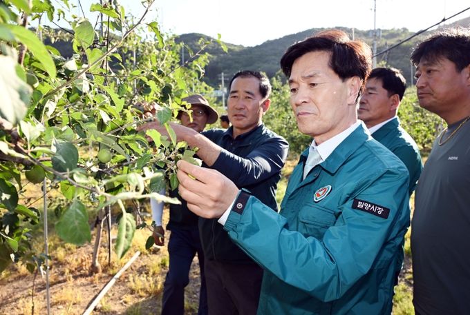 안병구 밀양시장이 4일 산내면 사과 재배 농가를 방문해 우박 피해 상태를 살피고 있다.