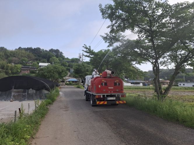 가로수 병해충 방제 실시 완료