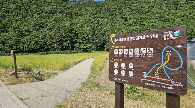 나리분지 보리밭 조성