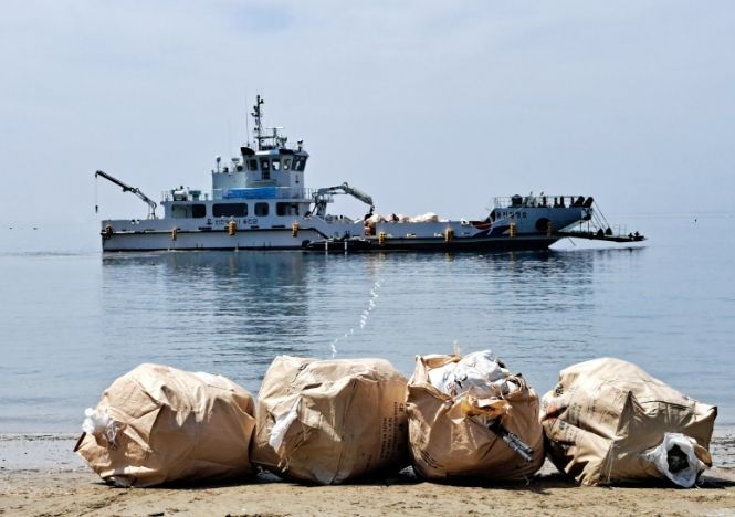 옹진청정호 자월면 클린업데이