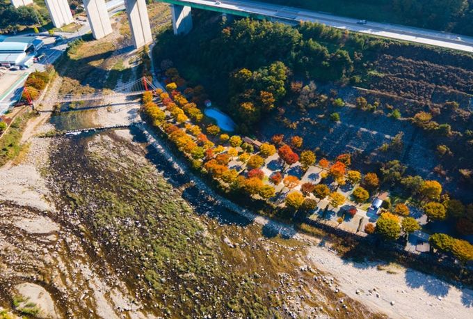 대강 오토캠핑장