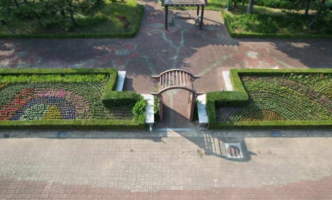 울진군, 왕피천공원 여름꽃으로 화사하게 새단장