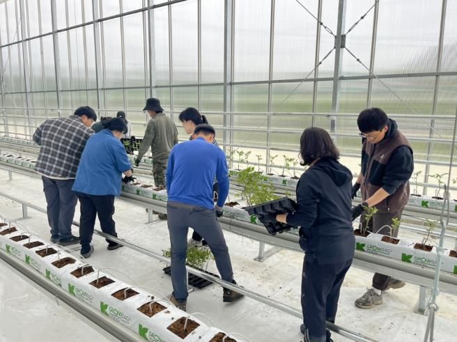 봉화군 청년 농업인 경영실습 임대농장 참여 모습