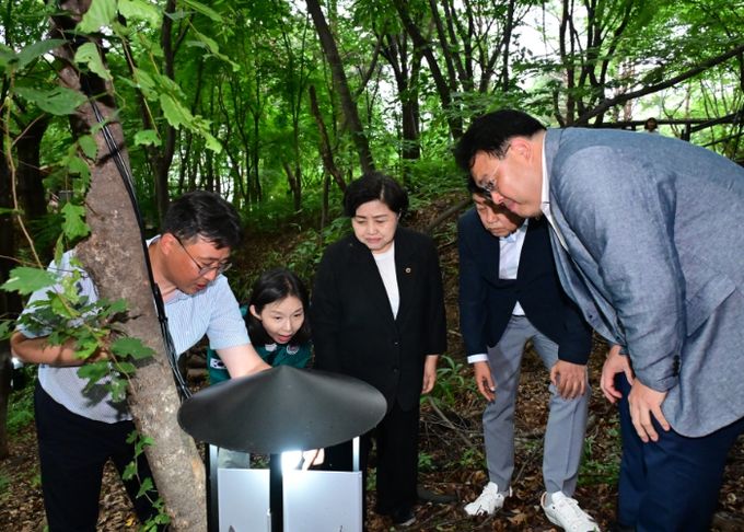 최호정 의장, 러브버그 빛으로 잡는 친환경 포집 현장 점검