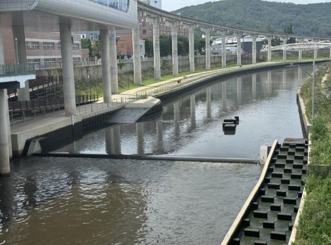 관내취약지 점검사진