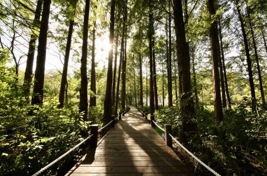 오산물향기수목원