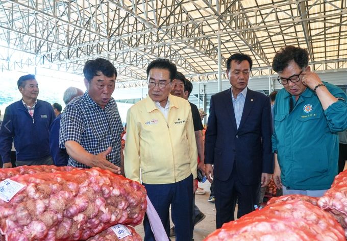 1일 신녕농협 마늘경매식집하장에서 올해 햇마늘 초매식과 첫 경매가 진행됐다.