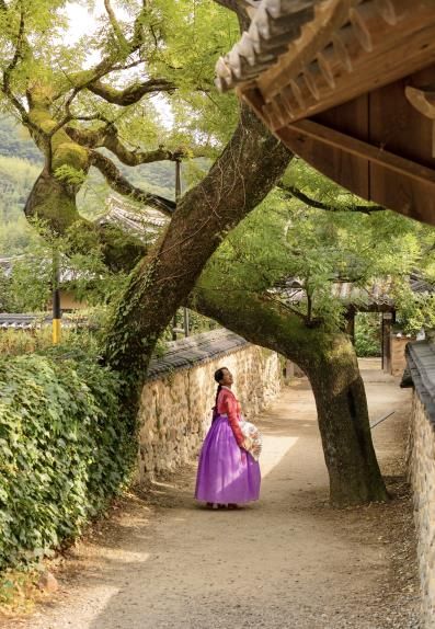 산청군 남사예담촌