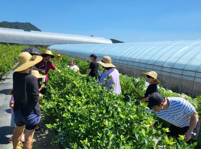 고성군가족센터, ‘고성가족 愛 자연 캠프’ 성료