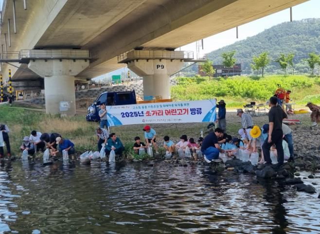 밀양시, 밀양강에 쏘가리 어린 고기 방류