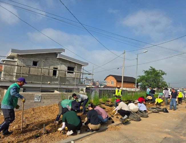 방치된 공터에 꽃 심어 새단장