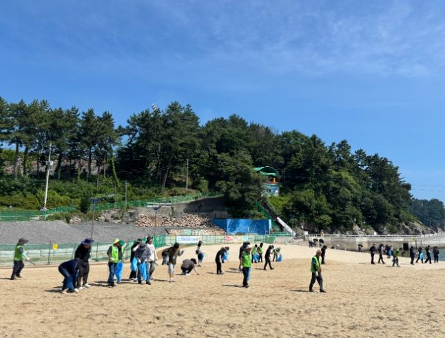 남일대해수욕장 환경정화활동