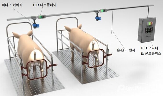 분만사 관리시스템 모식도