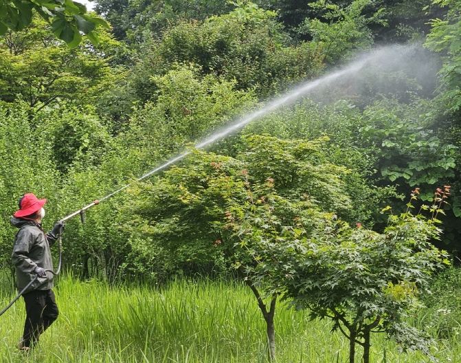돌발해충·토마토뿔나방 공동 방제…