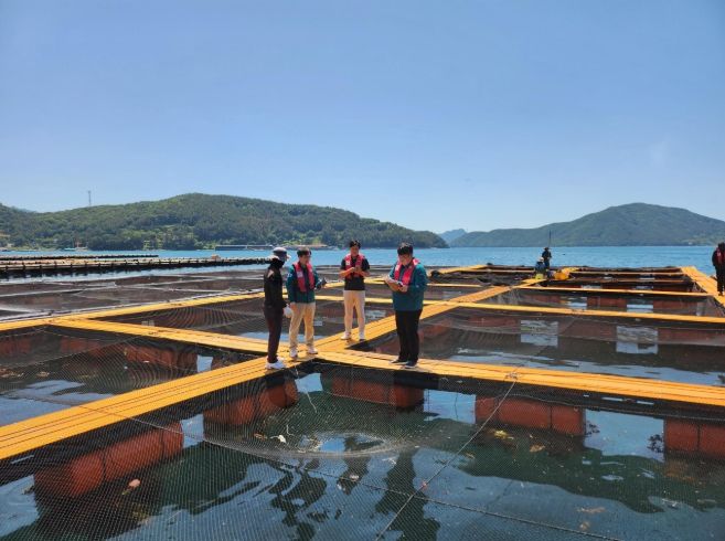 가두리양식장고수온점검