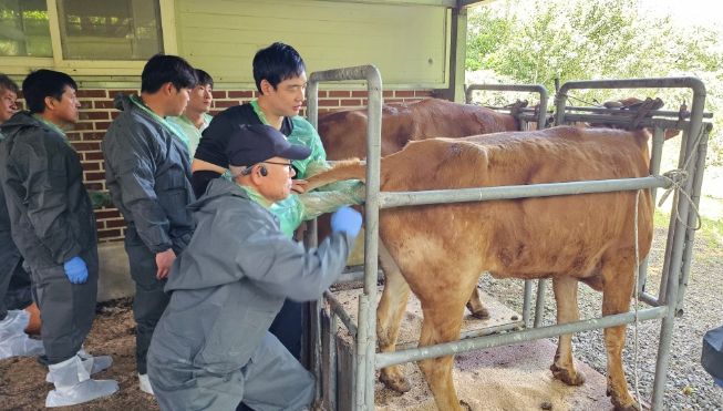 한우농가 자가 번식 수태율 향상을 위한 심화기술교육