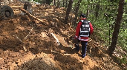 휴가철 산림 내 불법행위 특별단속