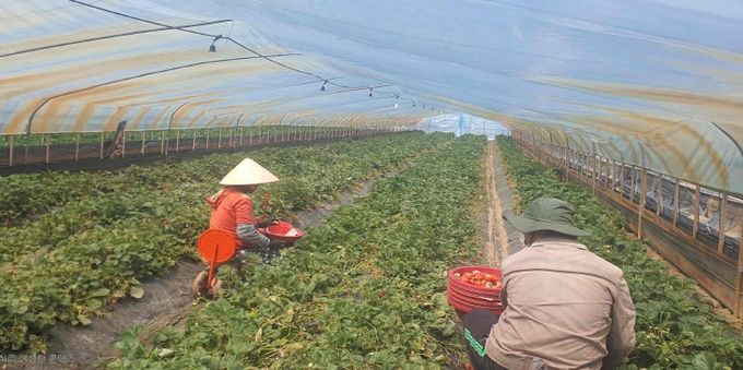 밀양시, 베트남 타이빈성과 계절근로자 유치 협약 체결