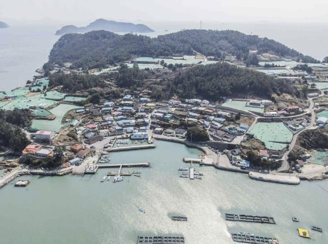 사업 대상지인 금일읍 소랑리 전경