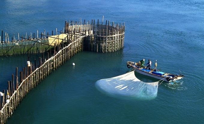 죽방렴과개불잡이