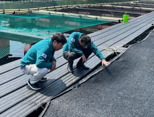 통영시, 고수온 대비 선제적 대응체계 가동