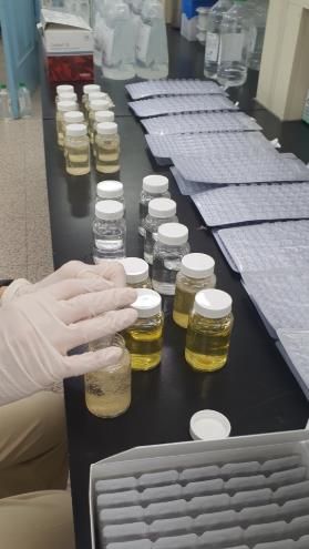 울진군, 2025년 해수욕장 수질검사 실시