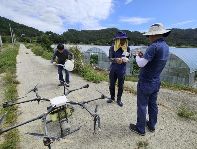 벼멸구 드론방제