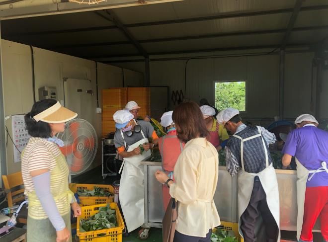 영광군, 폭염 대비 자활근로 사업장 현장 지도·점검 실시