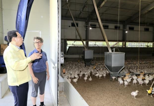 송인헌 괴산군수가 폭염 속 축산농가를 방문해 가축 상태 및 피해 현황을 점검하고 있다
