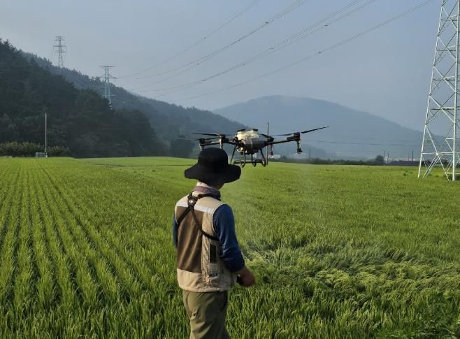 사천시, 드론, 무인헬기를 활용한 벼 병해충 공동방제 추진