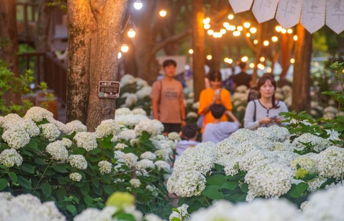진주시,‘월아산 국가정원’ 비전 가속 … 정원문화도시 도약 위한 박람회 성료