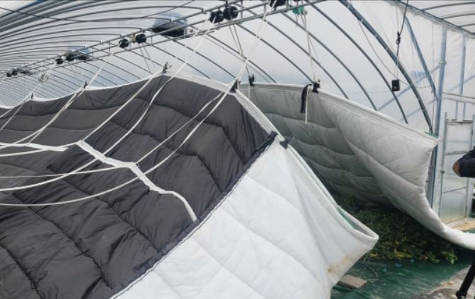 시설원예 현대화