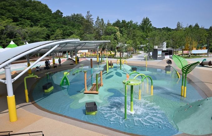 생태예술놀이정원 물놀이장