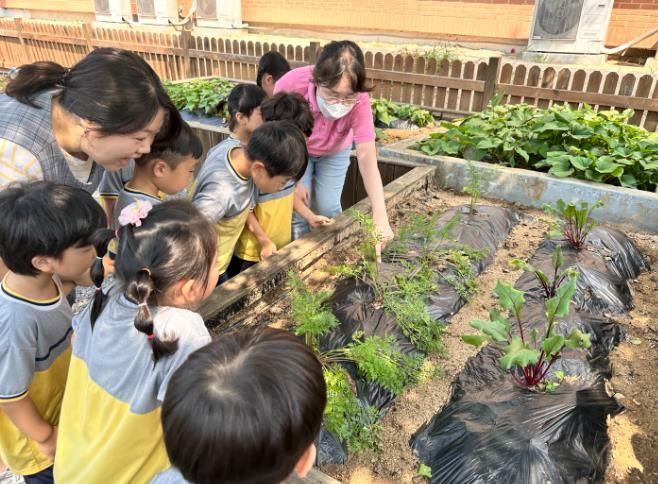 청도군어린이급식관리지원센터‘푸드브릿지’ 체험 운영