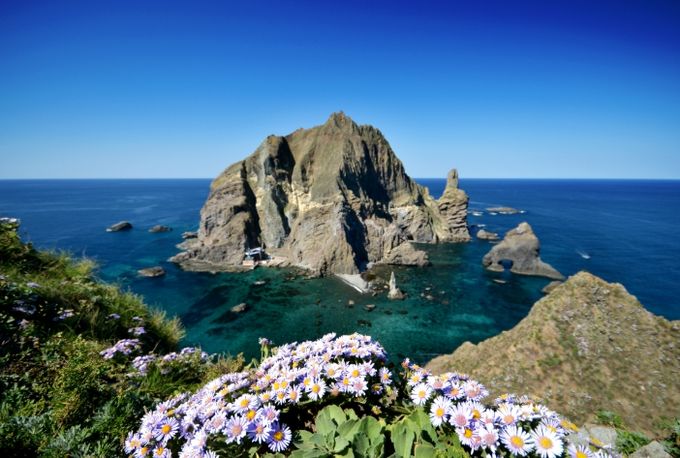 일본 방위백서의 반복된 역사 왜곡 강력 규탄!!