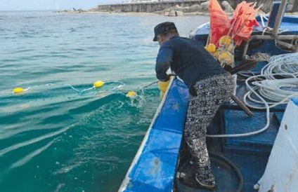 유해 생물 방지망 설치,