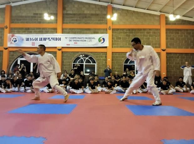 충주시 택견 세계화, 멕시코에서 결실 맺다