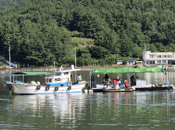 해양쓰레기 정화사업