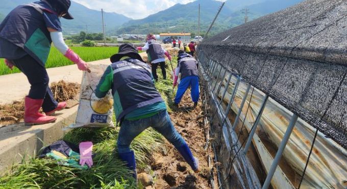 창원시 여성민방위기동대가 합천군 수해 현장에서 복구활동에 구슬땀을 흘리고 있다.