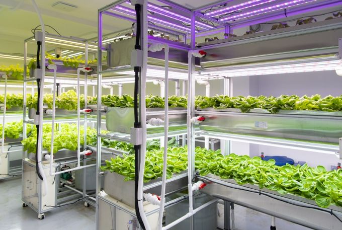 수직형 스마트팜(식물공장) 연구시설 시범 운영