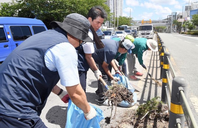 동래구, 중앙분리대 잡초 제거 등 “환경정비 활동” 벌여